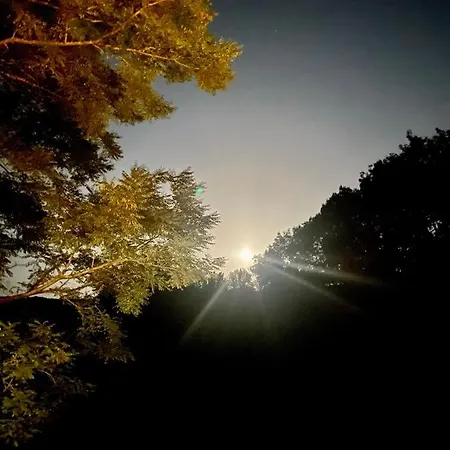 Cosy Bolt-hole * Camon