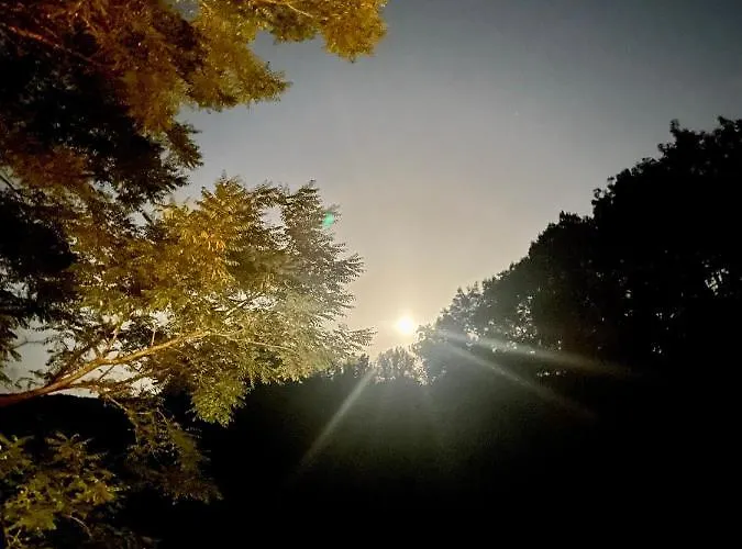 Cosy Bolt-hole * Camon (Languedoc-Roussillon)